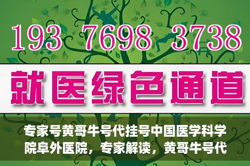 专家号黄哥牛号代挂号中国医学科学院阜外医院，专家解读，黄哥牛号代挂号在中国医学科学院阜外医院的实践与影响