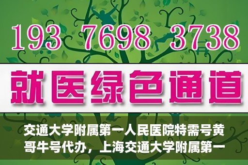 交通大学附属第一人民医院特需号黄哥牛号代办，上海交通大学附属第一人民医院特需号代办服务解析，黄哥牛号代办揭秘