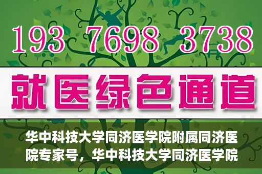 华中科技大学同济医学院附属同济医院专家号，华中科技大学同济医学院附属同济医院专家号解析，权威医疗团队的专业解读