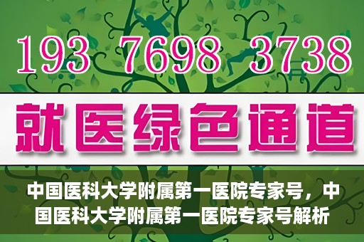 中国医科大学附属第一医院专家号，中国医科大学附属第一医院专家号解析，权威医疗团队的专业解读与诊疗服务