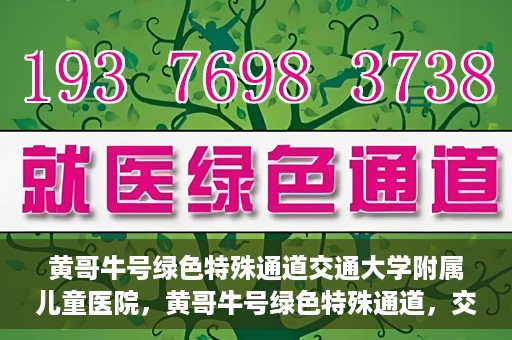 黄哥牛号绿色特殊通道交通大学附属儿童医院，黄哥牛号绿色特殊通道，交通大学附属儿童医院的探索与实践