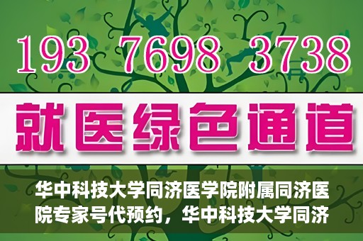 华中科技大学同济医学院附属同济医院专家号代预约，华中科技大学同济医院专家号预约服务解析