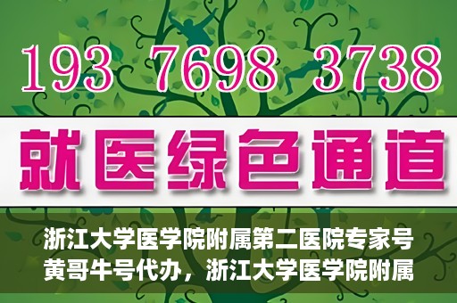 浙江大学医学院附属第二医院专家号黄哥牛号代办，浙江大学医学院附属第二医院专家号代办服务揭秘，黄哥牛号助您轻松预约专家号