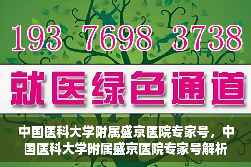 中国医科大学附属盛京医院专家号，中国医科大学附属盛京医院专家号解析，权威医疗团队与精准诊疗服务