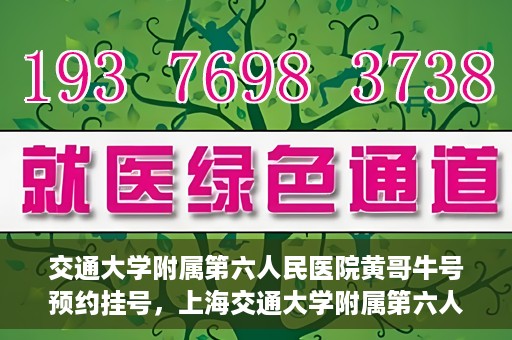 交通大学附属第六人民医院黄哥牛号预约挂号，上海交通大学附属第六人民医院黄哥牛号预约挂号攻略