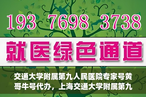 交通大学附属第九人民医院专家号黄哥牛号代办，上海交通大学附属第九人民医院专家号黄哥牛号预约代办服务解析