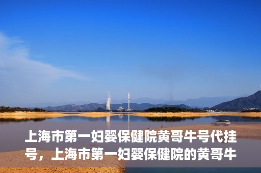 上海市第一妇婴保健院黄哥牛号代挂号，上海市第一妇婴保健院的黄哥牛号代挂号服务解析